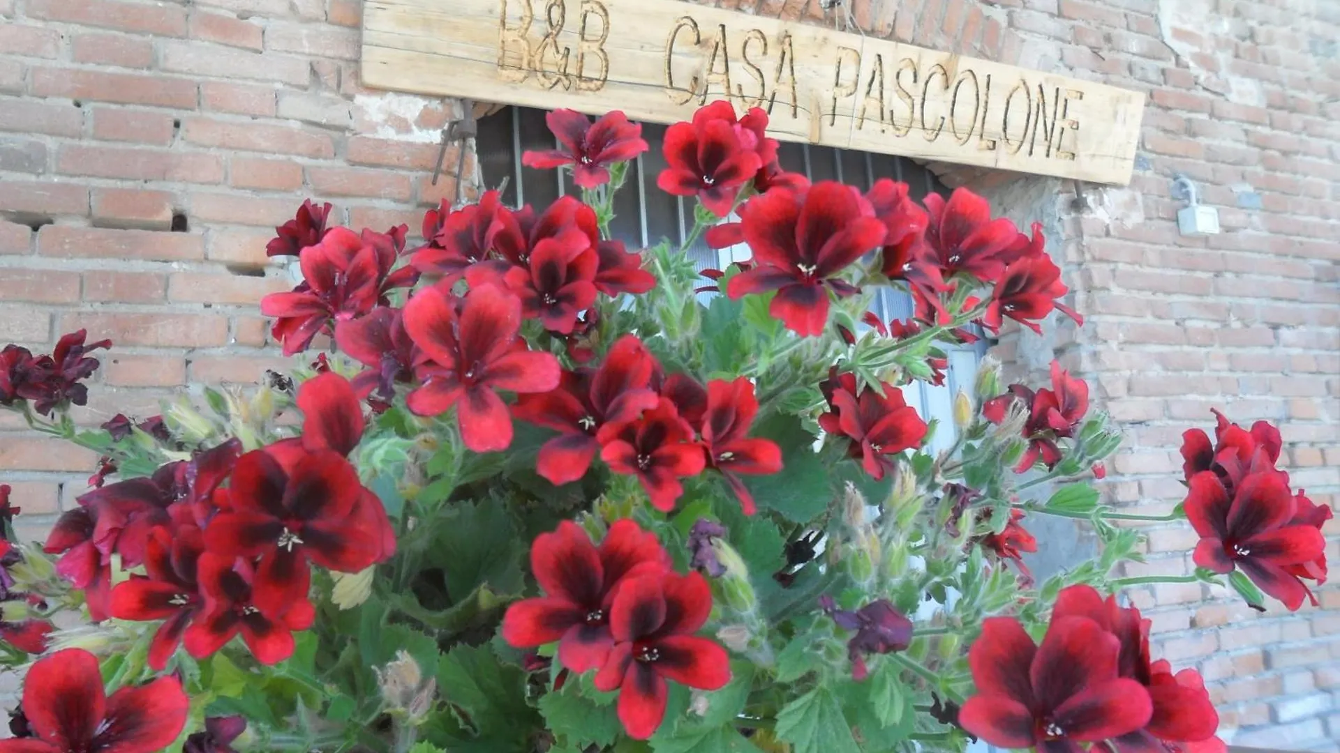 B&B Casa Pascolone Pegognaga