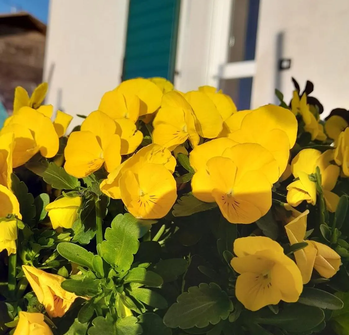 B&B Casa Pascolone Pegognaga